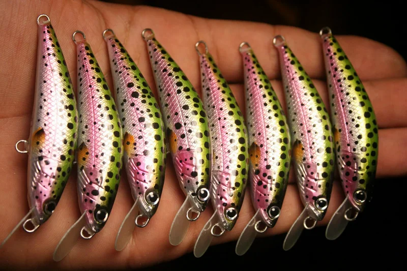 Rainbow trout minnow