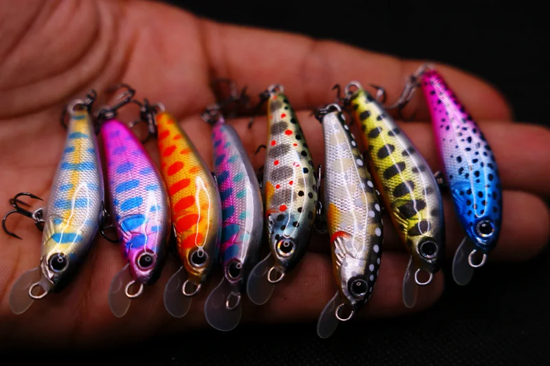 Trout minnow